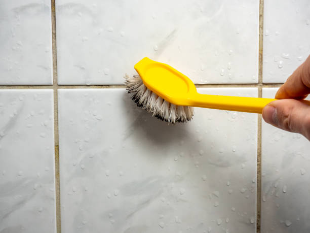Home Mold Removal in Whitemarsh Island, GA