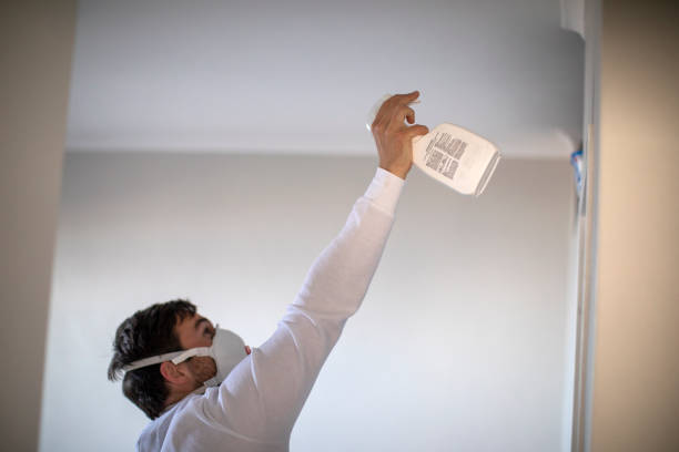 Best Local Mold Removal Service  in Whitemarsh Island, GA