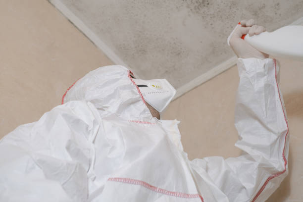 Attic Mold Removal in Whitemarsh Island, GA