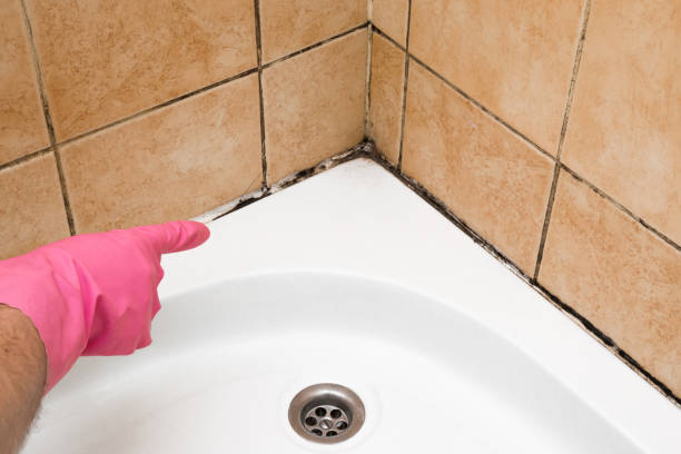 Best Mold Testing  in Whitemarsh Island, GA